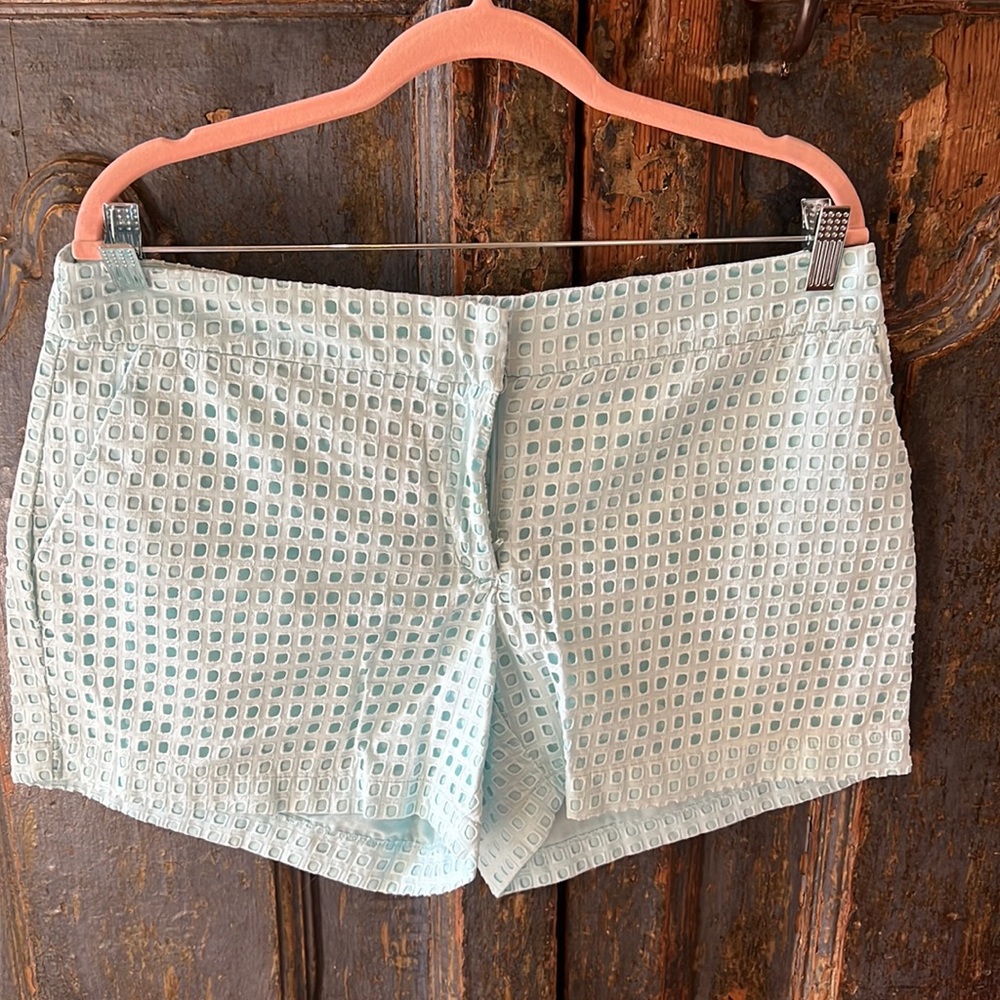 Women’s shorts, size 12 fleur bleue